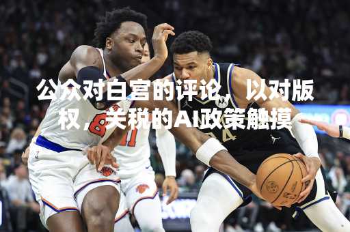 公众对白宫的评论，以对版权，关税的AI政策触摸