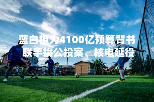 蓝白拒为4100亿预算背书 联手拚公投案、核电延役闯关