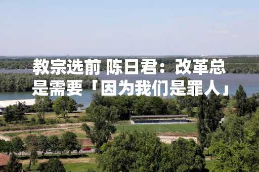 教宗选前 陈日君：改革总是需要「因为我们是罪人」