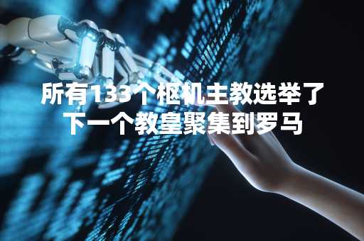 所有133个枢机主教选举了下一个教皇聚集到罗马