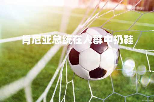 肯尼亚总统在人群中扔鞋