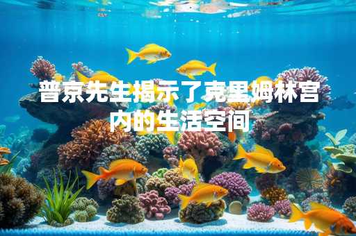 普京先生揭示了克里姆林宫内的生活空间