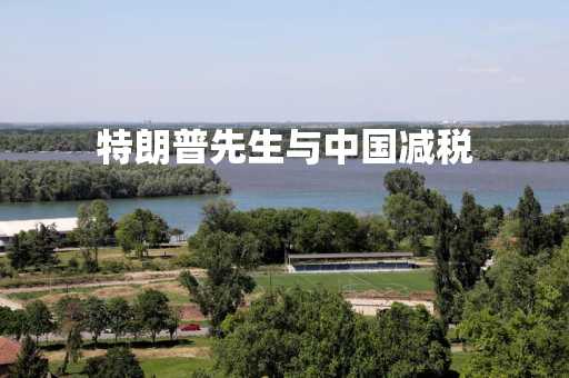 特朗普先生与中国减税