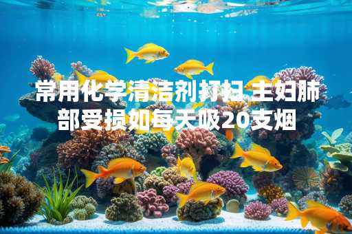 常用化学清洁剂打扫 主妇肺部受损如每天吸20支烟