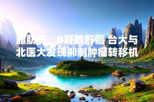 脂肪肝、B肝致肝癌 台大与北医大发现抑制肿瘤转移机转
