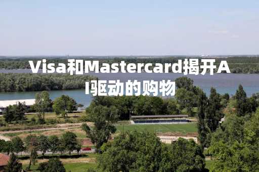 Visa和Mastercard揭开AI驱动的购物